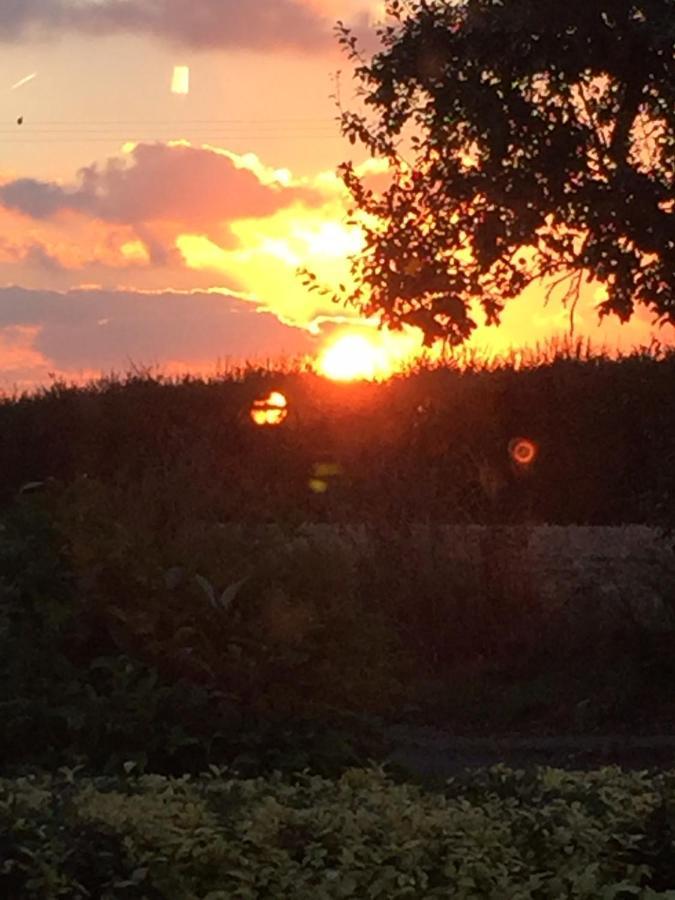 Corner House Luxury Bnb Little Dunmow Eksteriør bilde